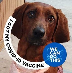 Meet your Posher, Patti